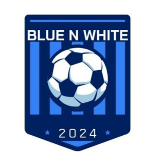Blue N White logo