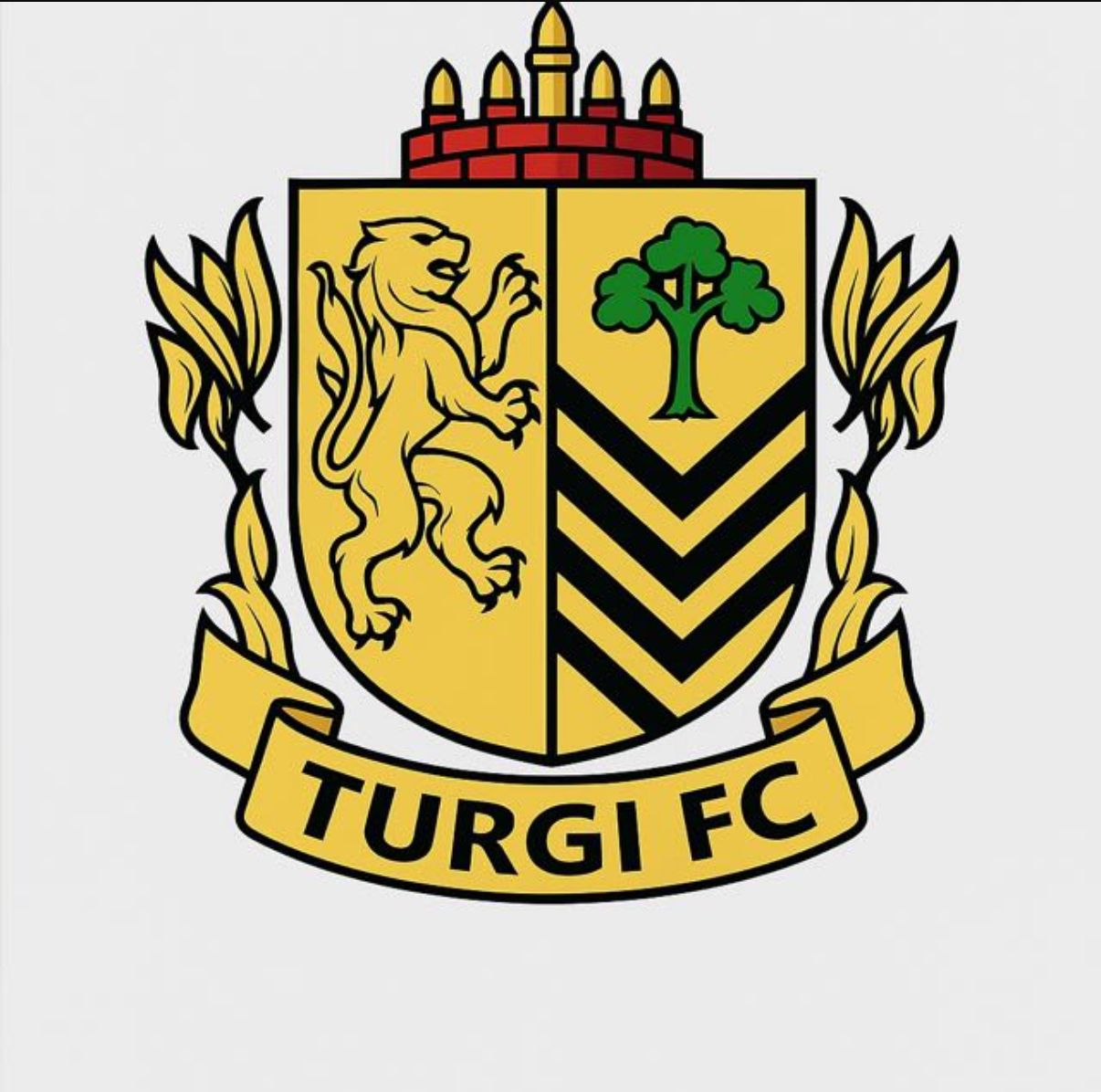 TURGI FC