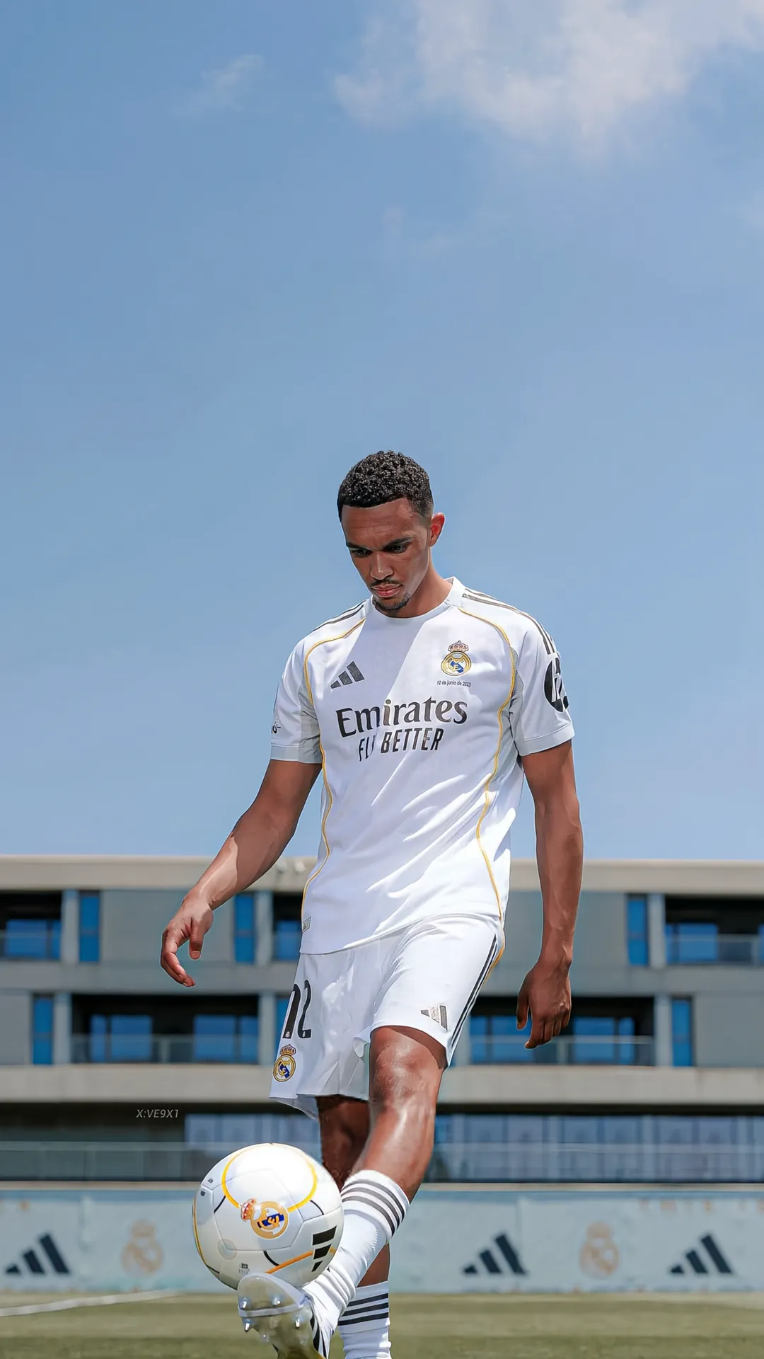 NoamMargo22