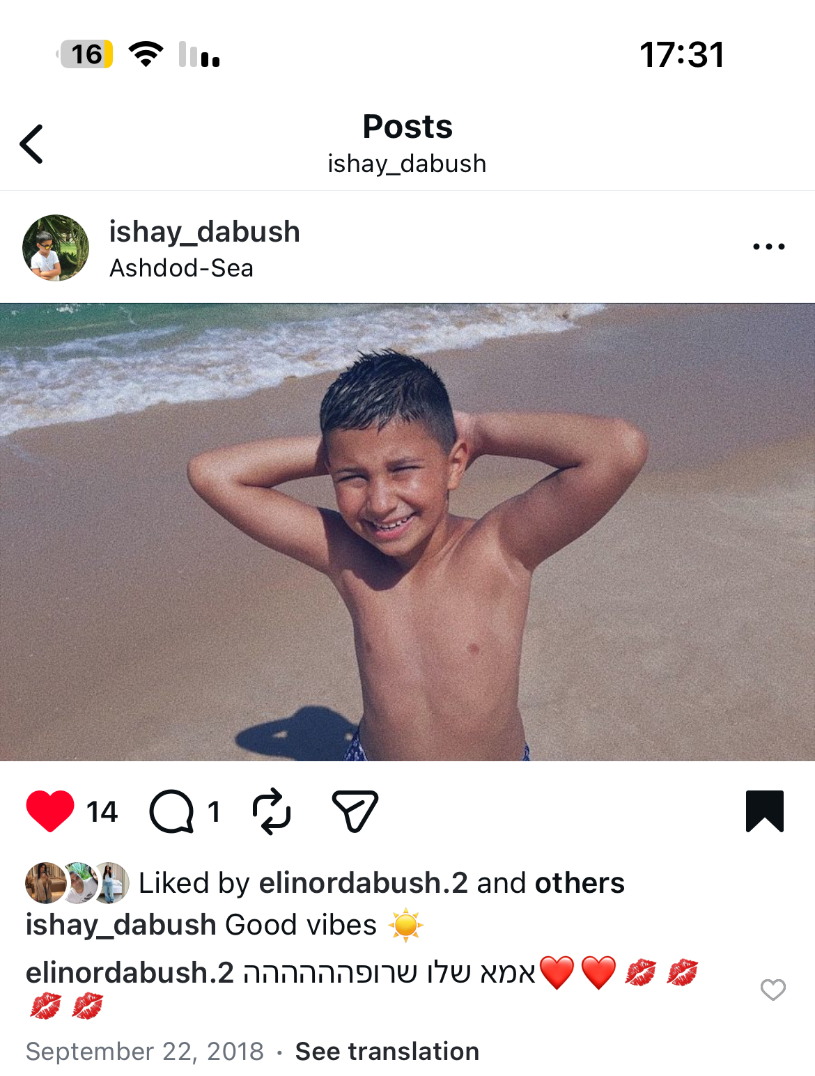 Dabush